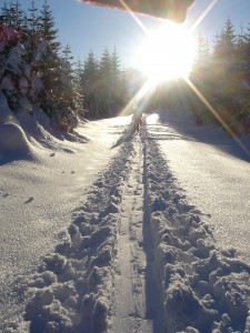 Winterimpressionen, Naturheilkunde