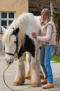 Craniosacrale Therapie fuer Pferde, Kraniosakrale Therapie, Cranio Pferd,