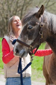 Craniosacrale Therapie, Craniosacrale Osteopathie, Cranio Pferd,